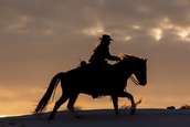 Cowgirl Spiele