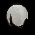 Lunares Omen