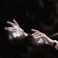 Der Adept